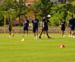 Antrenament FCU Craiova (foto: Vlad Nedelea/GSP)