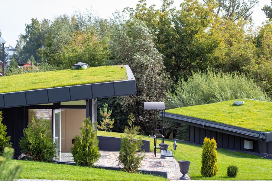 5 beneficii ale acoperișurilor verzi, cea mai nouă tendință în construcții, de la BMI România