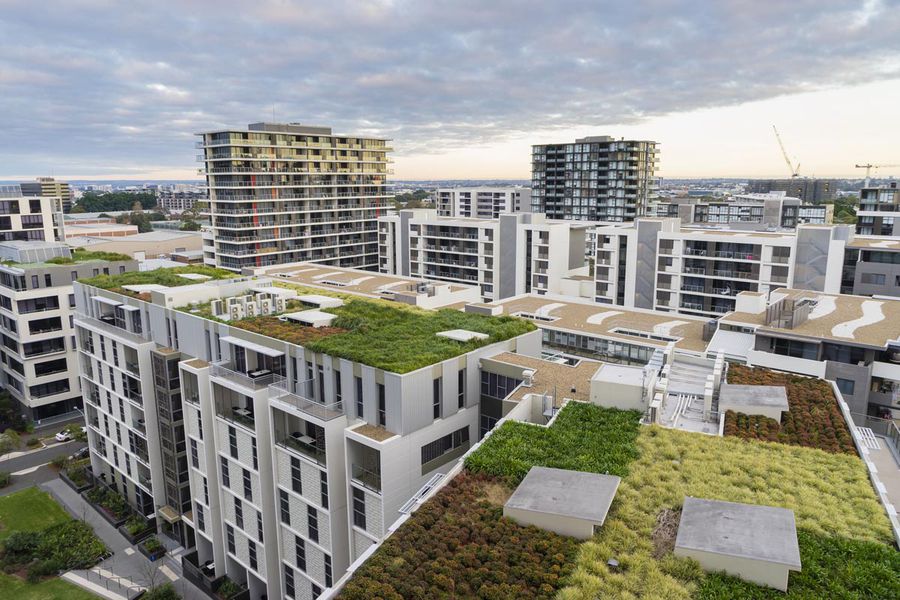 5 beneficii ale acoperișurilor verzi, cea mai nouă tendință în construcții, de la BMI România