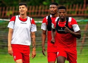 Curiosul caz al lui Stipe Perica: „Câte 2-3 antrenamente, apoi se întâmplă din nou. Nu am găsit soluția”