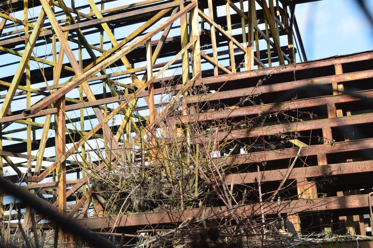 S-a stins fostul șef al clubului supranumit „La Masia din fotbalul românesc”