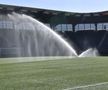 Gazonul sintetic de pe stadionul lui Viking, înainte de meciul cu FCSB