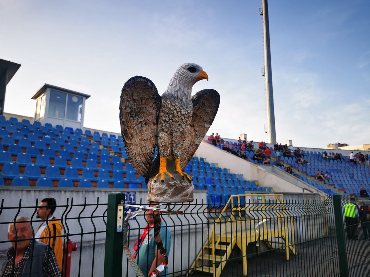 Vulturi pe stadionul din Liga 1. Explicația pentru imaginea atipică