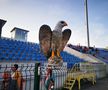 Șoimi stadion Botoșani