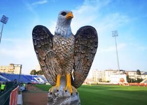 Vulturi pe stadionul din Liga 1. Explicația pentru imaginea atipică