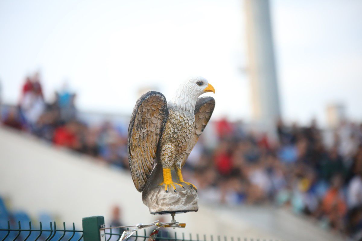 Eroul arădenilor de la Botoșani: „Abia așteptam ca Mircea Rednic să revină pe bancă! Prezența lui contează foarte mult”