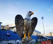 Șoimi stadion Botoșani