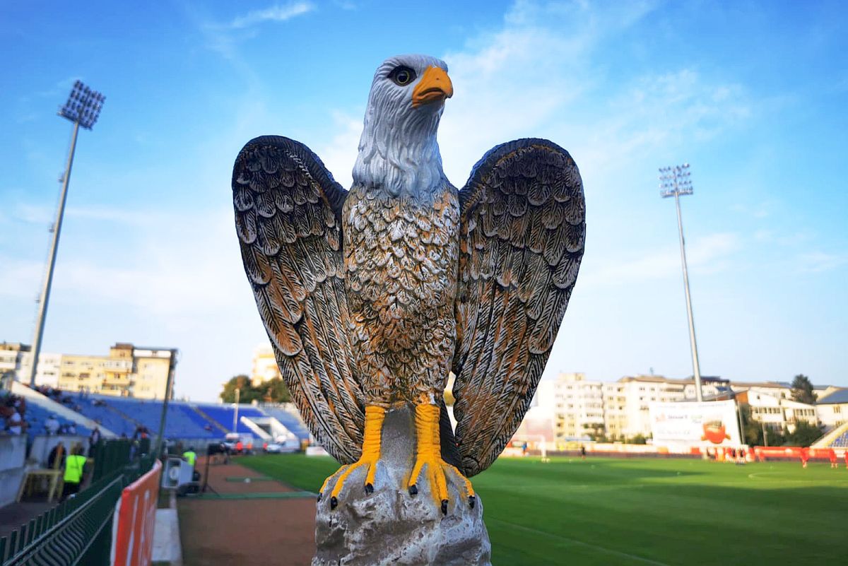 Șoimi stadion Botoșani