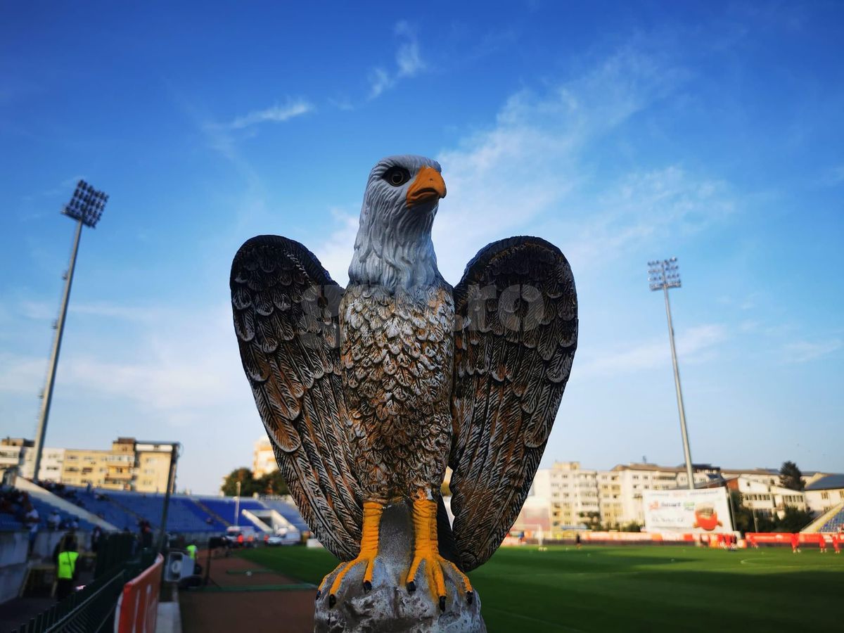 Șoimi stadion Botoșani