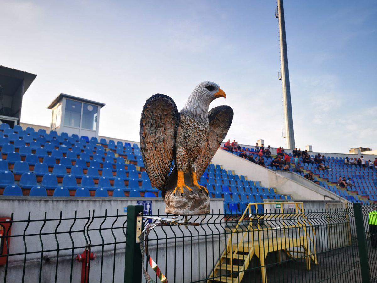 Șoimi stadion Botoșani