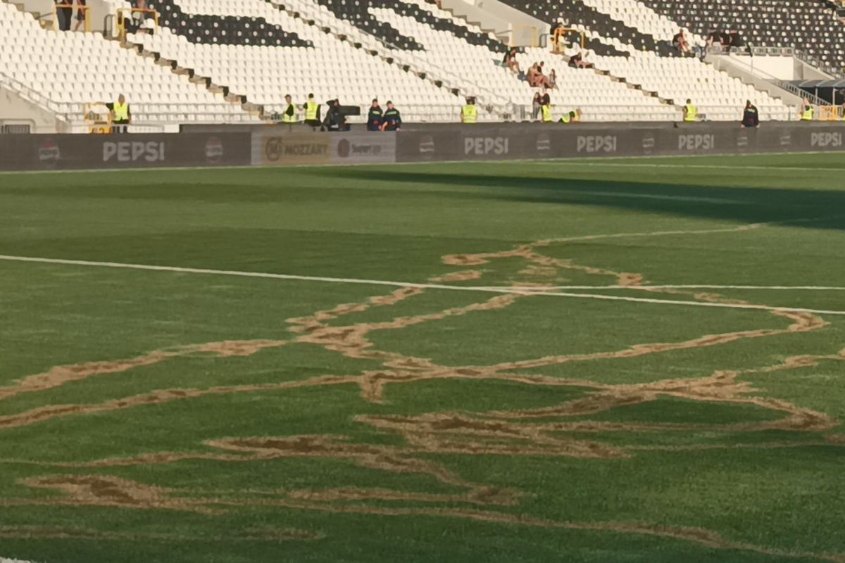 partizan - steaua rosie, 23 septembrie 2024