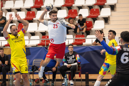 Dinamo - Veszprem, meci de gală pentru campioana României în Liga Campionilor. Foto: Facebook