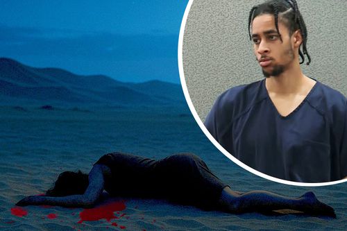 Chance Comanche, fotomontaj: Diana Vasilescu / GSP