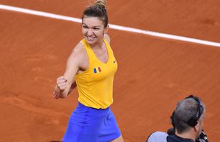 Simona Halep, portradeplul României la Jocurile Olimpice 2020?! Anunțul făcut de Mihai Covaliu