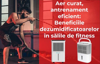 Aer curat, antrenament eficient: beneficiile dezumidificatoarelor în sălile de fitness
