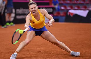 Opinie Cristi Coman » Nu mai trebuie să pârjolim holdele! Ion Țiriac spune că s-a rezolvat: „Dacă nu joacă Halep la FED CUP cu rusoaicele, pierdem cu 5-0”