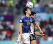 Germania - Japonia la Campionatul Mondial