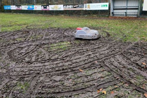 Robotul „buclucaș” de tuns iarba care a distrus gazonul // Foto: ndr.de