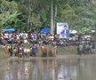 Imagini nebune de la cursa tradițională de tauri din Indonezia: „Deseori e nevoie să îi mușc de coadă”