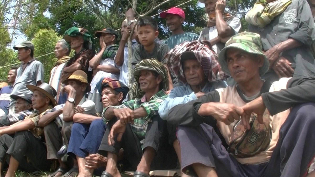 Curse tradiționale de tauri în provincia Sumatra de Vest din Indonezia