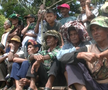 Curse tradiționale de tauri în provincia Sumatra de Vest din Indonezia