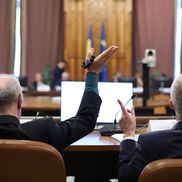 Gigi Becali în parlament / Foto: Dumitru Angelescu (Libertatea)