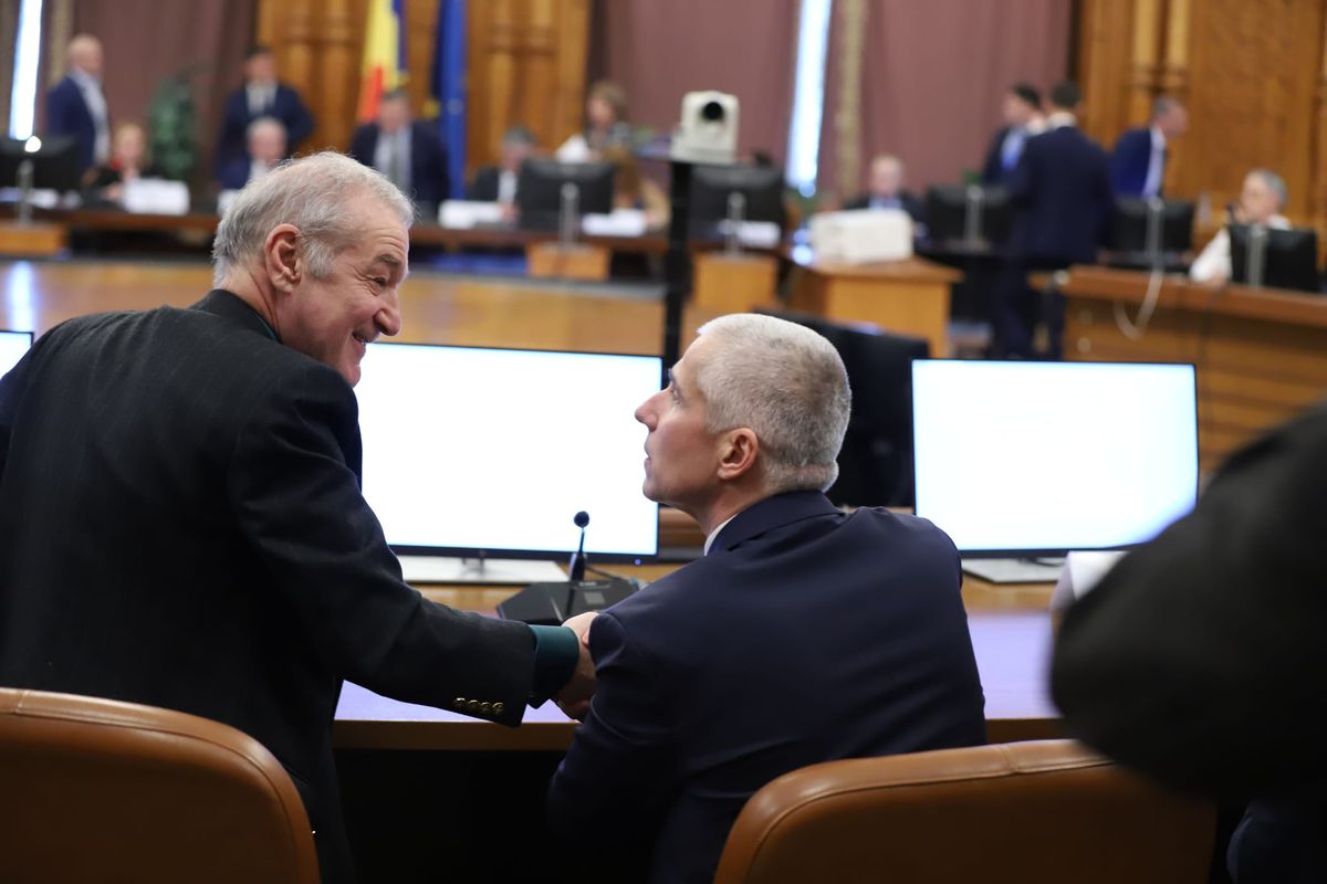 Gigi Becali în parlament