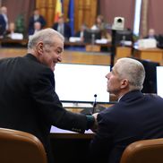 Gigi Becali în parlament / Foto: Dumitru Angelescu (Libertatea)