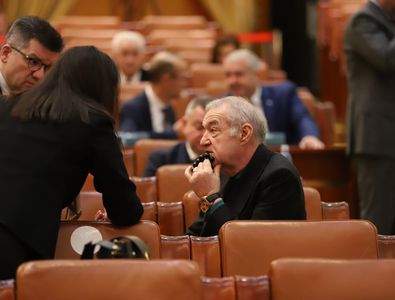 Gigi Becali nu poate sta liniștit în Parlament » Cum a fost surprins lângă ...