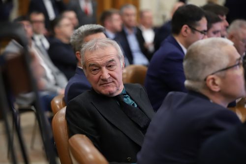 Gigi Becali în Parlament/ Foto: Dumitru Angelescu (Libertatea)