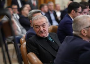 Uluitor! Ce apare în CV-ul lui Gigi Becali din Camera Deputaților. Distincția pe care și-a trecut-o