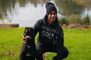 Vedetele din Premier League au găsit soluția împotriva jafurilor: Câini în valoare de 35.000 de euro