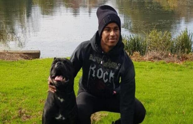 Vedetele din Premier League au găsit soluția împotriva jafurilor: câini de 35.000 de euro