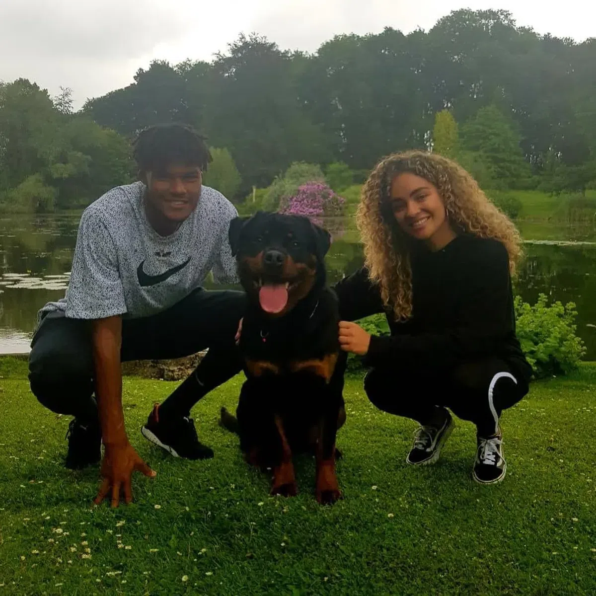 Vedetele din Premier League au găsit soluția împotriva jafurilor: câini de 35.000 de euro