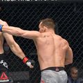 Michael Chandler vs. Dan Hooker // foto: Guliver/gettyimages