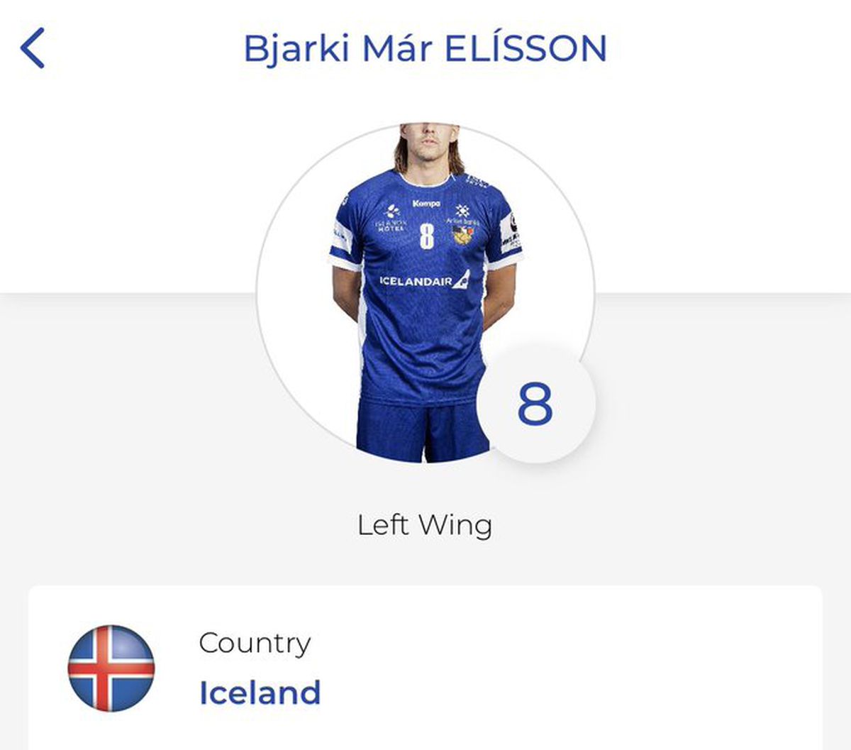 Profilele jucătorilor la Campionatul Mondial de handbal masculin