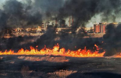 DELTA VĂCĂREȘTI // VIDEO+FOTO INCENDIU masiv: 20 hectare afectate! Imagini teribile de la fața locului