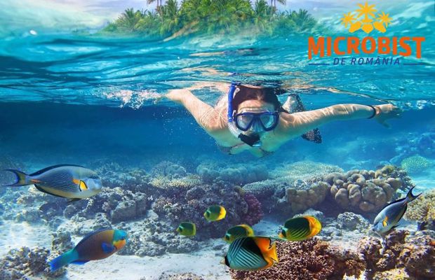 „Microbist de România”, show-ul în care vor concura suporterii celor mai iubite echipe din țară » Când și unde va fi difuzat