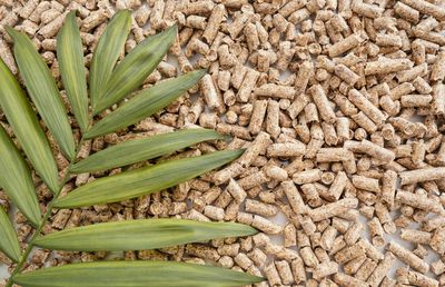 De ce tot mai mulți români sunt înșelați la achiziția peleților? Tomibena are răspunsul!