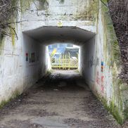 Stadionul din Brăila se află într-o stare de degradare fără precedent / FOTO: Andrei Furnigă (GSP)