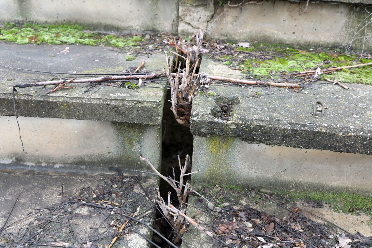 Stadionul de 20.000 de locuri din România se descompune! Reportaj GSP pe arena abandonată de autorități: nimeni nu o mai poate salva!