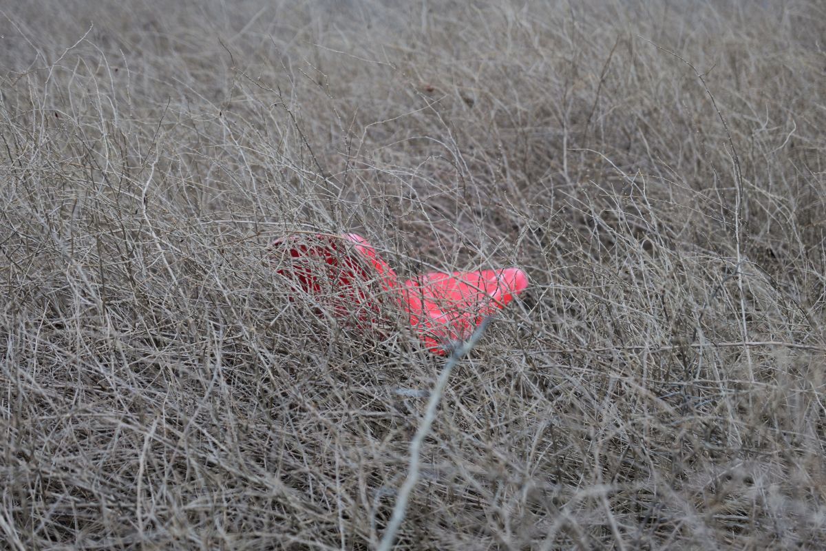 Stadionul de 20.000 de locuri din România se descompune! Reportaj GSP pe arena abandonată de autorități: nimeni nu o mai poate salva!