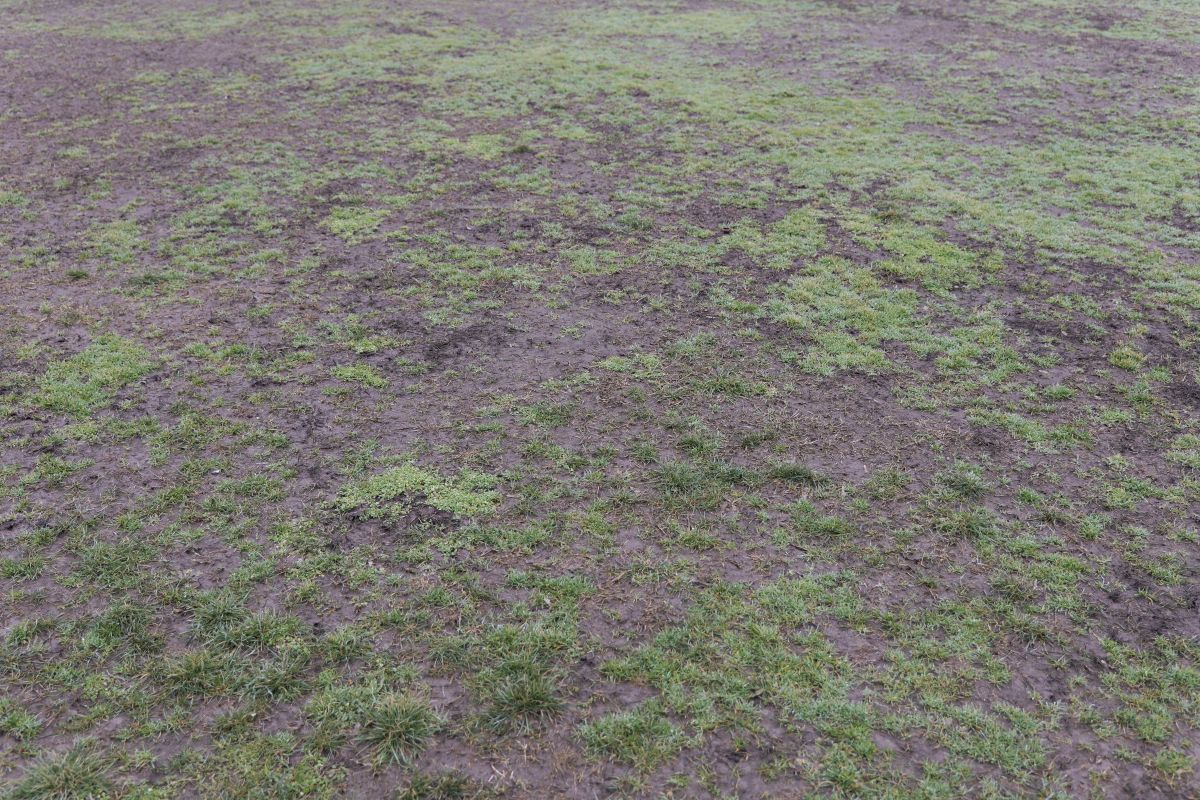 Stadionul de 20.000 de locuri din România se descompune! Reportaj GSP pe arena abandonată de autorități: nimeni nu o mai poate salva!