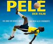 Recomandări de filme şi documentare din sport » Staţi acasă! Avem ce vedea pe Netflix şi HBO GO