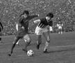 Steaua 1986