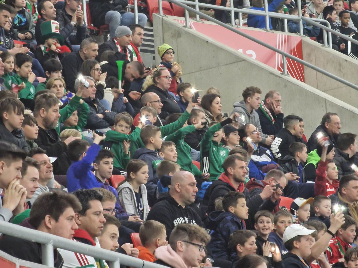 GSP asistă la Ungaria - Estonia, primul meci după ce maghiarii au anunțat că pot afișa steagul Ungariei Mari în tribune