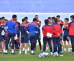 Selecționerul din Andorra nu se teme de „tricolorii” lui Edi Iordănescu: „România favorită? Când?”