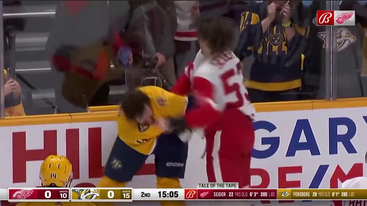 S-au împărțit pumni mai ceva ca într-un ring de box! Imagini incredibile la un meci de hochei