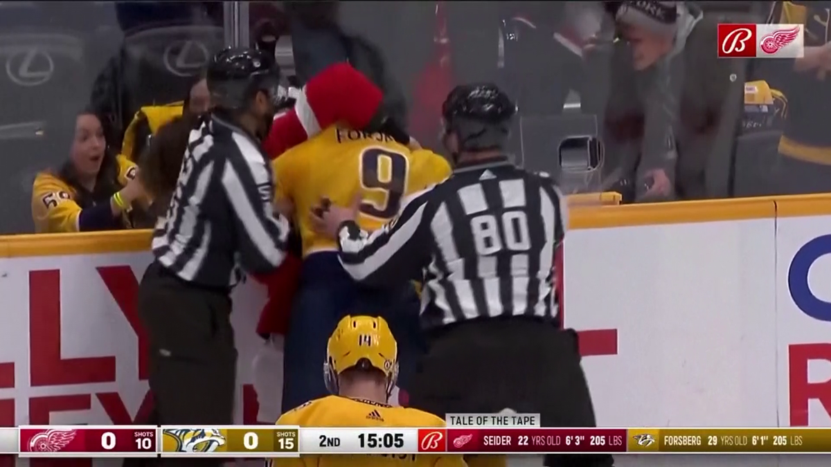 S-au împărțit pumni mai ceva ca într-un ring de box! Imagini incredibile la un meci de hochei