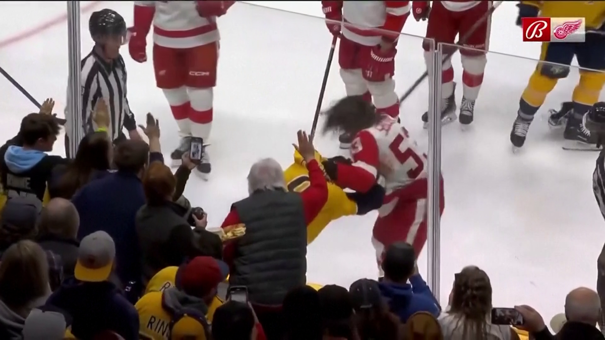 S-au împărțit pumni mai ceva ca într-un ring de box! Imagini incredibile la un meci de hochei